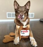 CHEWFFON Hundespielzeug Puzzle mit 4 Leckerli-Taschen – Interaktive Schnüffelspielzeug für mentale Stimulation – Bild 5