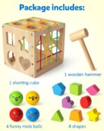 Coogam Holz Montessori Formsortierwürfel mit Hammer – Motorik & Formenlernen für Babys 12–36 Monate – Bild 6