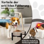 Erhöhter Hundenapf Set PTOBER – Doppelnapf Keramik mit Edelstahlständer für kleine & mittlere Hunde – Bild 5