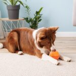 LIFLIX Schleckball für Hunde zum Einfrieren – Interaktives Beschäftigungsspielzeug für grosse Hunde – Bild 7