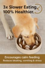 Flamingo Slow Feeder Greni 410ml – Anti-Schling Napf für kleine Hunde & Katzen – Bild 2