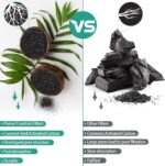 Parner Ersatzfilter für Katzenbrunnen – 3-Stufen-Filtration für sauberes Trinkwasser (12er-Pack) – Bild 6
