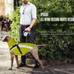 Oslueidy Wasserdichter Hundemantel mit Geschirr – Warme Winterjacke für kleine bis grosse Hunde – Bild 4
