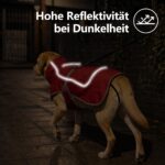 HEYWEAN Hundejacke wasserdicht mit Fleecefutter – Wärmeschutz für kleine & mittlere Hunde – Bild 5