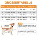 Queenmore Wintermantel für Hunde – Wasserdicht & wärmend für Mittelgrosse Rassen – Bild 5
