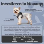rabbitgoo Hundegeschirr Grösse S mit Air-Mesh – Step-In Ausbruchsicher für kleine Hunde – Bild 2