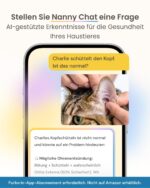 Furbo 360° Katzenkamera – 1080p mit Farbnachtsicht, Leckerliwurf & 2-Wege-Audio – Bild 9