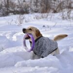 RANYPET 2er Pack Hundepullover 9XL – Warme Strickpullover für grosse Hunde im Winter – Bild 7
