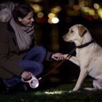 flexi LED Light System – Leinenlicht mit Front- & Rücklicht für sichere Gassirunden – Bild 6
