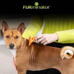 Furminator deShedding-Tool Grösse M Kurzhaar – Unterfellbürste für mittelgrosse Hunde – Bild 6
