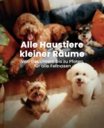 oneisall 2in1 Pfotentrimmer für Hunde & Katzen – Geräuscharm mit 2h Laufzeit – Bild 7