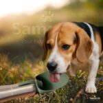 SAMARCH Hunde Trinkflaschen Set 800ml – Edelstahl Wasserflasche mit Silikon Napf & Tasche – Bild 7
