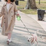 CECOMBINE 8m Hundeleine mit LED-Licht – Rollleine für Hunde bis 50 kg – Bild 8