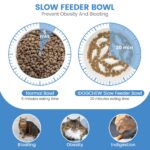 IDOGCHEW Erhöhter Keramik Anti-Schling-Napf für Katzen – Slow Feeder mit Bambusständer – Bild 2