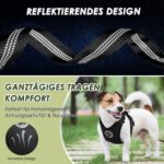 SlowTon Hundegeschirr Grösse S mit Autosicherheitsgurt – atmungsaktiv & sicher für Reisen – Bild 5