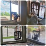 PETLESO Haustierklappe für Fliegengitter 21×24.5 cm – Magnetverschluss für Katzen & Hunde – Bild 3