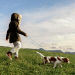 Wisedog 3m Freisprechleine Seegrün – 7-in-1 Hundeleine mit rutschfestem Griff – Bild 7
