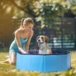 Nobleza Hundepool 80x20 cm faltbar – Stabile Hundebadewanne für Hunde & Katzen – Bild 2