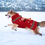HYLYUN Weihnachtspullover Hund XL – Rentier-Motiv mit Leinenöffnung & Rollkragen – Bild 6