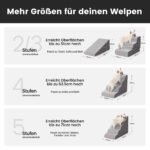 Gardner Pet 2-in-1 Hundetreppe 35/42cm, 3 Stufen – Gelenkschonendes Aufstiegssystem für kleine Hunde – Bild 3