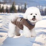 FEimaX Hundejacke mit Fleecefutter – Winddichte Winterweste für kleine & mittlere Hunde – Bild 7