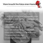 Bautrium Leise Katzenschermaschine Set – Profi-Fellpflege mit 3 Aufsätzen & USB-C – Bild 7