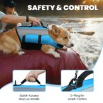 VIVAGLORY Hundeschwimmweste XS Blau – Rettungsweste mit Frontauftrieb & Kopfstütze – Bild 3