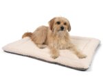 TrendPet Heaven Hundedecke Wendedecke – 4cm gefütterte Liegedecke für Hunde & Katzen – Bild 2