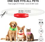 Novkin 2er-Pack LED-Hundehalsbänder – Wiederaufladbar & Sicherheit für alle Hundegrösszen – Bild 5