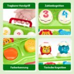 hahaland Pop-Up Spielzeug ab 1 Jahr mit Musik & Licht – Motorikspielzeug für Babys – Bild 7
