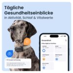 Tractive XL GPS Tracker für Hunde – Echtzeit-Ortung & Gesundheitsüberwachung für Hunde über 20 kg – Bild 3