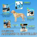 VIVAGLORY Hundeschwimmweste Grösse M mit Ripstop – Sicherheit & Auftrieb für Wassersport – Bild 5