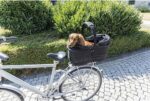 TRIXIE Fahrradkorb Long für Hunde bis 8 kg – Sicherer Gepäckträgerkorb mit Metallrahmen – Bild 4