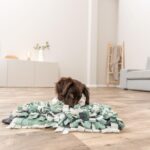 TRIXIE Schnüffelteppich 50 x 34 cm – Intelligenzspiel für mentale Auslastung & Stressabbau – Bild 5