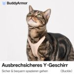 BuddyArmor Katzengeschirr Y-Form M – Ausbruchsicher & Anti-Würgen für sichere Spaziergänge – Bild 2