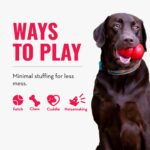 KONG Wild Knots Bär – Interaktives Spielzeug mit inneren Seilknoten für sehr grosse Hunde – Bild 5