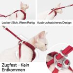 BuddyArmor Y-Form Katzengeschirr Ausbruchsicher – Gepolstertes Softgeschirr für kleine bis grosse Katzen – Bild 3