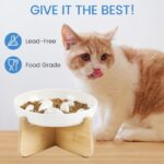 IDOGCHEW Erhöhter Keramik Anti-Schling-Napf für Katzen – Slow Feeder mit Bambusständer – Bild 9