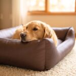 4L Textil Mario Orthopädisches Hundebett 120x90 cm – Kunstleder für grosse Hunde – Bild 4