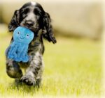 Fuzzl Ozzie der Oktopus – Quietsch-Hundespielzeug mit 4 Quietschern für alle Grössen – Bild 5