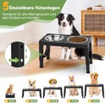X XBEN Erhöhter Hundenapf mit 5 Höhen – Edelstahlnapf für kleine bis grosse Hunde – Bild 2