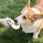 Sinlay Hundetrinkflasche 285ml – Edelstahl mit Silikonnapf für unterwegs – Bild 4