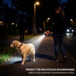 flexi LED Light System – Leinenlicht mit Front- & Rücklicht für sichere Gassirunden – Bild 4