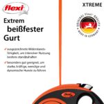 flexi Xtreme L Hunde Roll-Leine 8m – Robuster Gurt für aktive Hunde – Bild 3