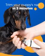 oneisall 4in1 Hundeschermaschine Kabellos – Schermaschine, Pfotentrimmer & Krallenschleifer – Bild 4