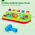 hahaland Pop-Up Spielzeug ab 1 Jahr mit Musik & Licht – Motorikspielzeug für Babys – Bild 2