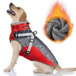 Nasjac Winter Hundemantel mit abnehmbarem Geschirr – Wasserdicht & warm für alle Grössen