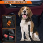 UIHOL Hundedecke Auto Rückbank – Wasserdicht & Kratzfest mit Sicherheitsgurten für PKW – Bild 2