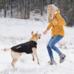 Aisuowa Hundewintermantel wasserdicht mit Fleece – Wärmeschutz für kleine bis grosse Hunde – Bild 6