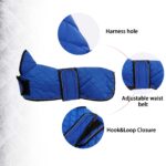 Geyecete Wintermantel für Dackel – Wasserdichter Hundemantel mit Fleecefutter Grösse M – Bild 3